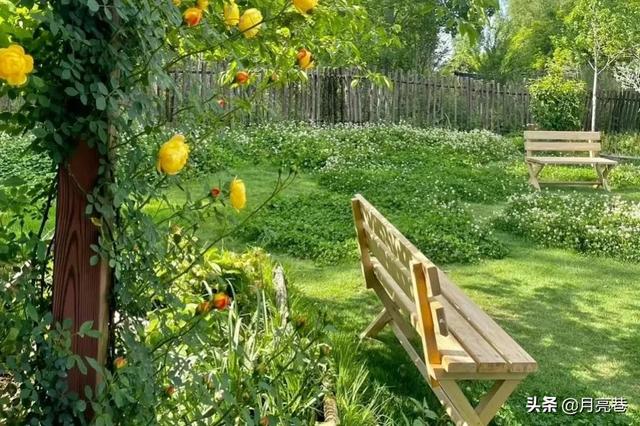 女生20招恋爱技巧，女孩谈恋爱技巧（已婚女孩教我的15条恋爱秘籍）