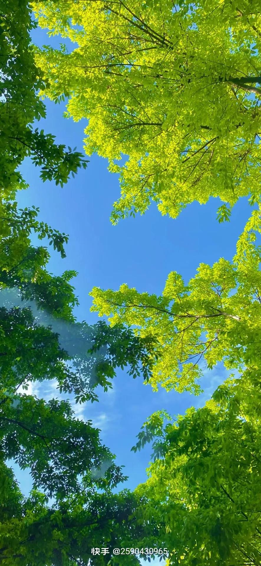 清爽背景图(清爽桌面壁纸图片大全)