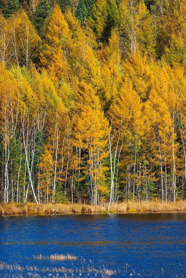 七八月份最适合旅游的地方，7-8月最适合旅游的地方（探索天地间的五光十色）
