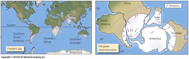 大陆漂移学说谁提出来的，德国大陆漂移学说谁提出来的（大陆漂移冷知识）