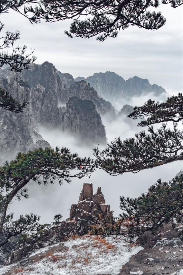 寻隐者不遇的诗意，寻隐者不遇的诗意对话（一日－诗《寻隐者不遇》赏析）
