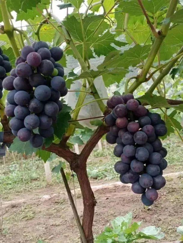 汉中旅游景点排名推荐，汉中旅游景点大全排名榜（在汉中一年四季可以这样玩 →）