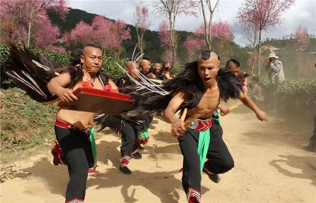 南涧彝族“跳菜”，南涧彝族跳菜广场舞（南涧跳菜——从飨宴文化到舞台艺术的蜕变）