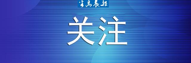 顺丰停摆的13天