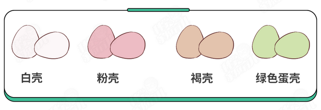 刚孵出来的小鸡怎么养，刚孵化的小鸡怎么养（抽检出抗生素超标）