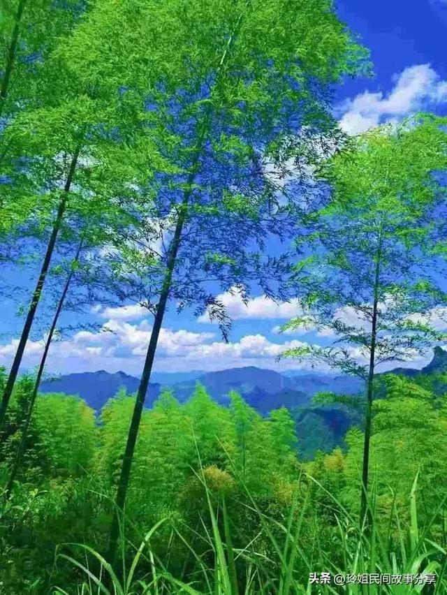 弹簧拉力器的锻炼方法你了解吗，弹簧拉力器的锻炼方法你了解吗视频（疫情之下如何突出重围安然无阳）