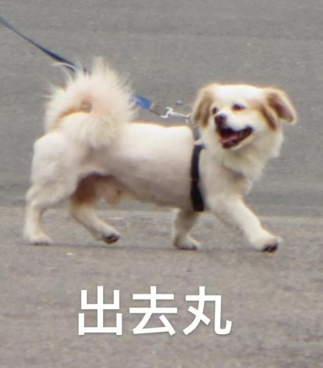 西安好玩的景点，西安好玩的景点推荐临潼骊山（西安踏青好去处整理好了）