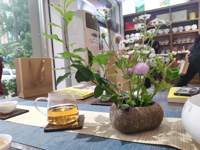 简单生活美文，简简单单的生活作文（只为这份简单的惬意）