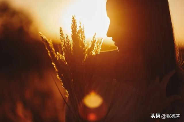 袁咏仪和张智霖感情为什么这么好，原来我们都误会了