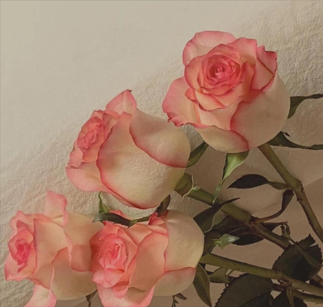 有魅力的女人特征，有魅力的女人几大特点（让男人深爱不渝的女人）