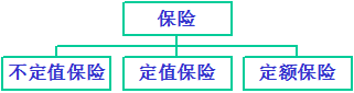 重置价值是什么意思，出险时的重置价值是什么意思（保险学知识点总结重点）