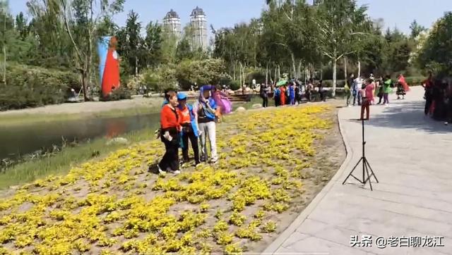 哈尔滨群力湿地公园，群力新区十一大公园