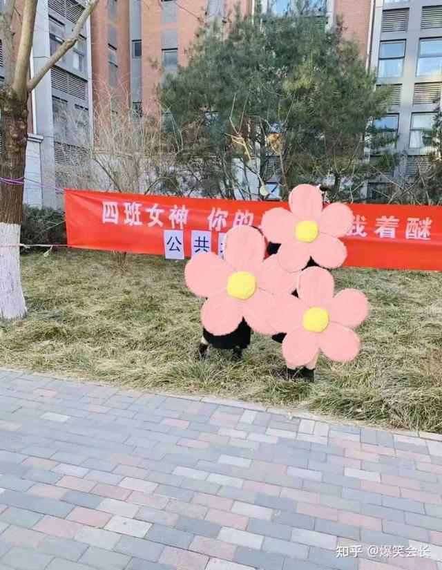 女生说姨妈痛怎么高情商回答，如何高情商安慰女生痛经（一句话治愈女朋友姨妈痛）