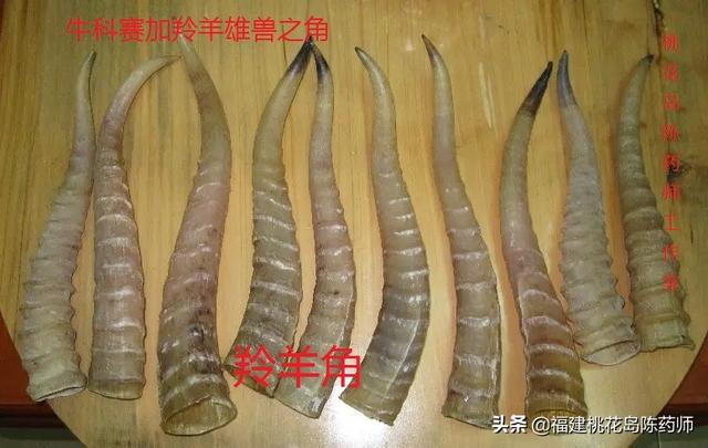 降压最好的中药，降血压最好的中成药（24味平肝中药的性味与功效）