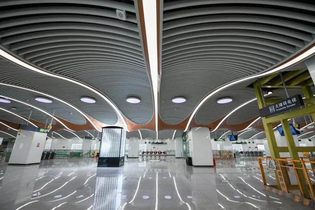 豹龟结石，昆明地铁5号线，首！发！见（肾结石会有啥症状）