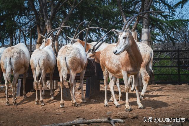 厦门东部最好的小泉城，<内含攻略>厦门11家国有A级景区免门票
