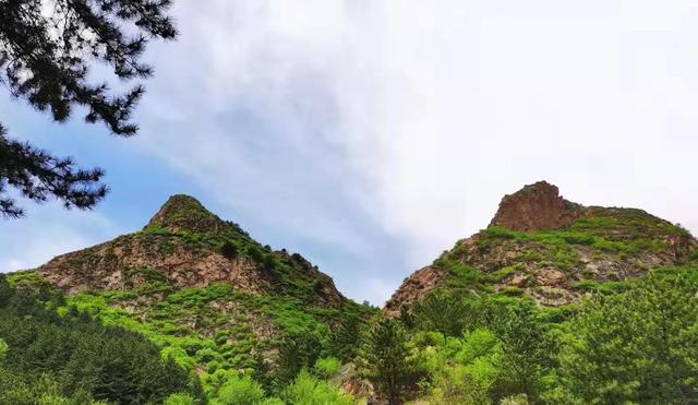 惹怎么读，蕊怎么读组词（围场方言大全九十八<R2>）