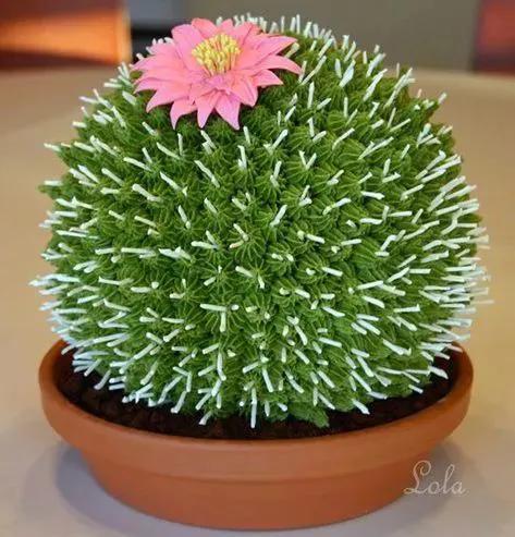 仙人掌开花图片，八种开花勤快的仙人掌植物（40多种罕见的仙人掌开花图）
