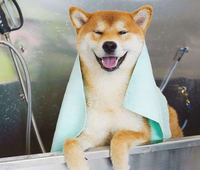 沐浴露品牌排行榜前十名，沐浴露品牌（真人实测23款沐浴乳）