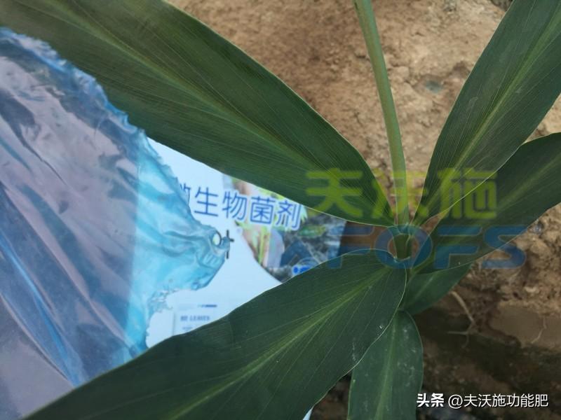 微营销哪家好(微营销)