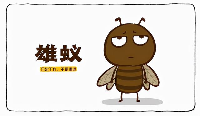 酒精能杀死蚂蚁吗，一只被带去几十公里外的蚂蚁