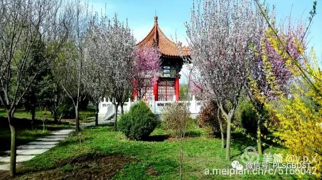 南山公园在哪里，深圳大南山公园开放时间（这是你们熟悉的那个南山公园吗）