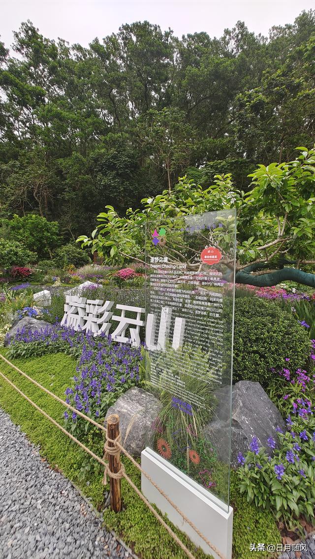 深圳市仙湖植物园，深圳仙湖植物园适合夏天逛吗（深圳仙湖植物园现场实拍图来了）