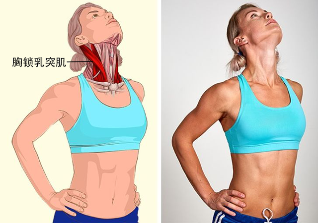 运动完不拉伸会怎样，健身完不拉伸有什么危害（助你学会拉伸，减肥事半功倍）