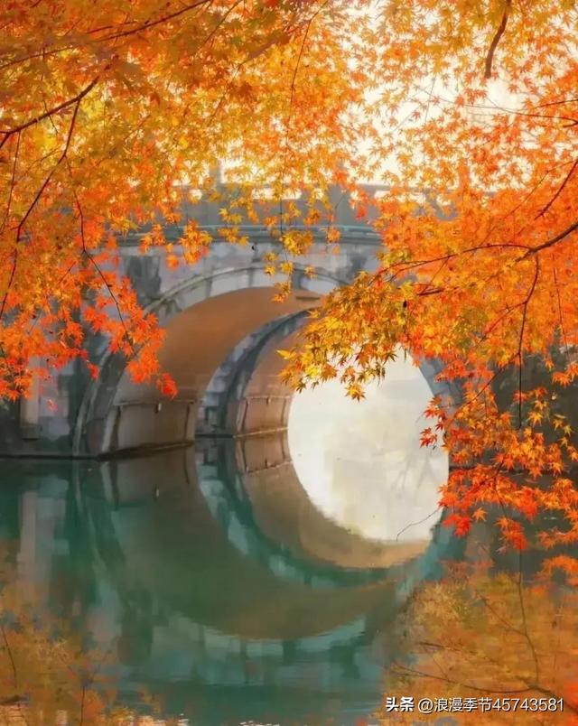 关于秋天的散文，关于秋天的散文350字（遇见秋天遇见你！）