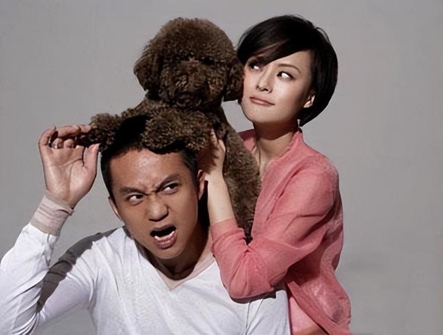 明星夫妻有哪些，明星夫妻一起演的电视剧有哪些（真正恩爱的9对明星夫妻）