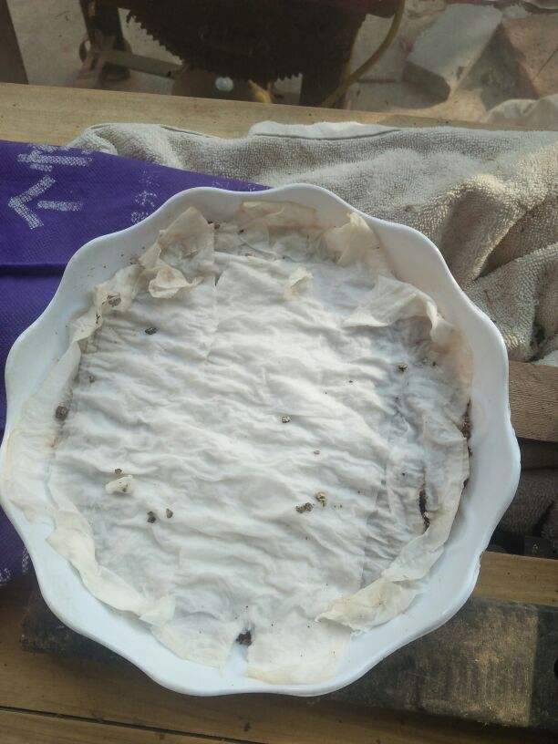 卫生纸做花教程简单，用卫生纸做漂亮的花（呼呼冒出“狗牙根”）
