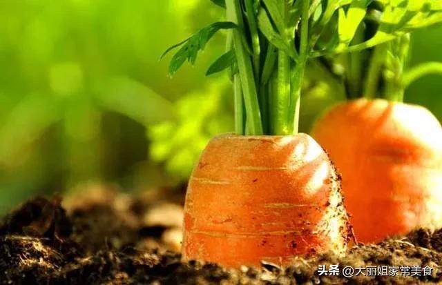 苦瓜可以直接生吃吗，苦瓜是否可以生吃（这6种“刮油”蔬菜要多吃）