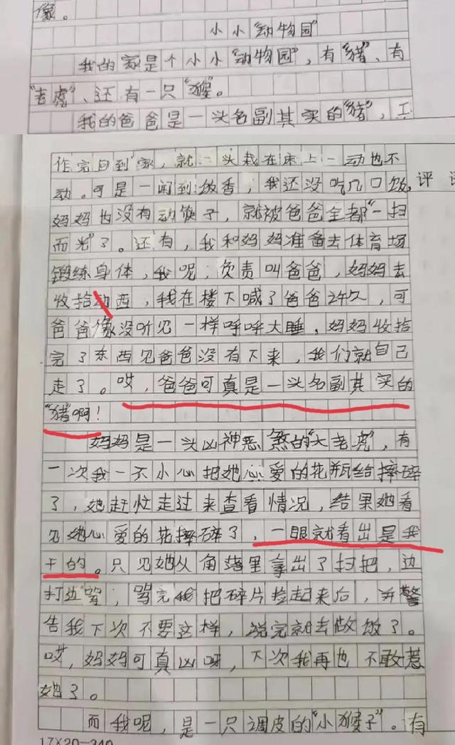 优秀作文300字，优秀作文300字左右（广东满分作文《最美的灯光》）