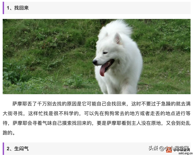 如何刷网站点击量，网站点击量怎么挣钱（如何获得更好的搜索引擎展现）