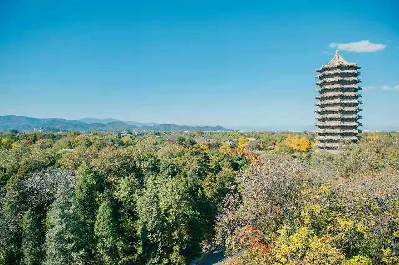 医学类院校排名（医学类高校梯队划分）