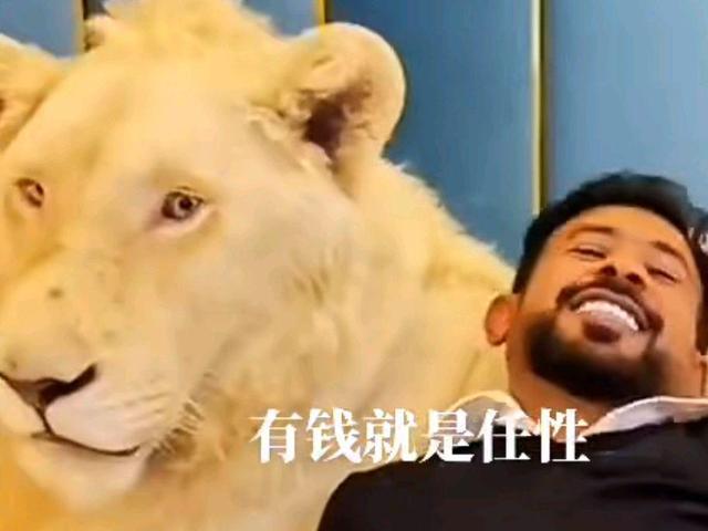 现在的油价是多少，95汽油价格（国际油价跌至8个月来新低）