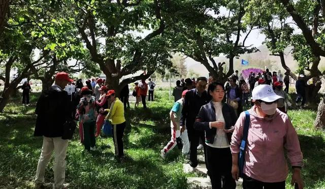 金昌旅游攻略必去景点，在“宝藏旅游地”——金昌