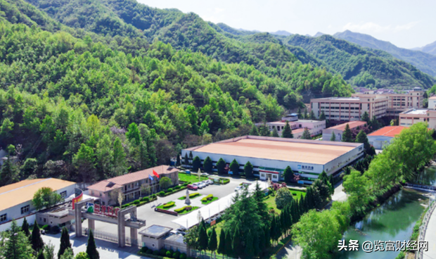 盘龙药业有哪些产品，盘龙药业有哪些产品系列（丰富产品族群实现快速发展）