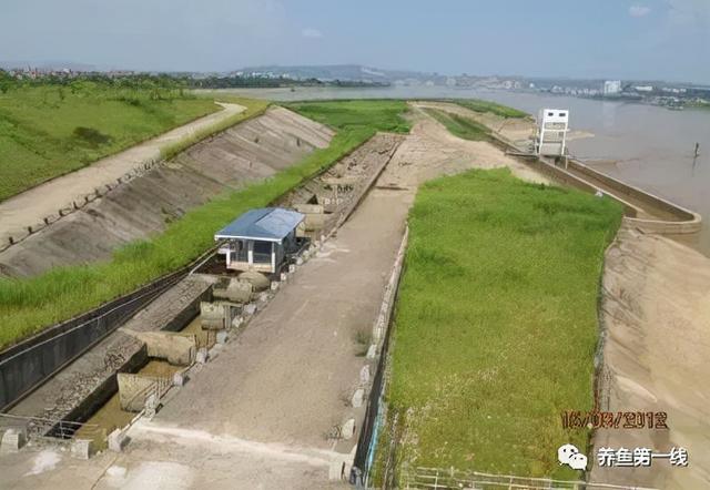 为什么兴建水坝时要留鱼道，河道能够修坝蓄水吗（低水头水利枢纽过鱼通道构建技术）