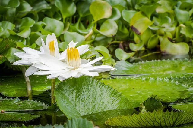 埃及旅游季节，埃及旅游季节是几月份（埃及国家游，科普文化知识）