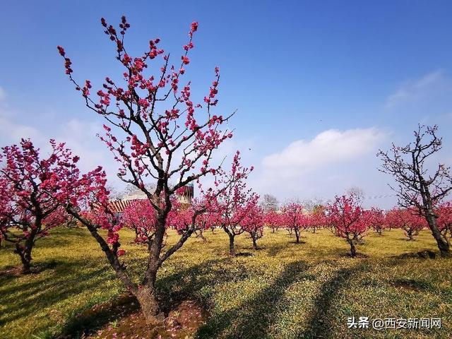 春季旅游十大攻略，10条乡村旅游精品线路任您选