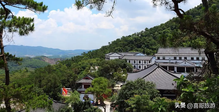 江门市蓬江区(江门市蓬江区地图高清版最新)