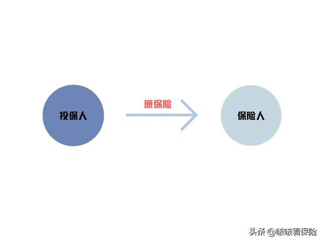 保险知识人身保险分类，人身险的分类种类（先不要急着买保险四）