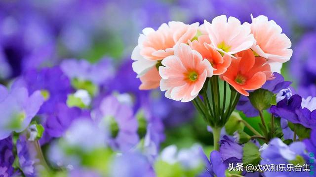 微信设置三天可见，微信可以单独设置三天可见吗（微信\
