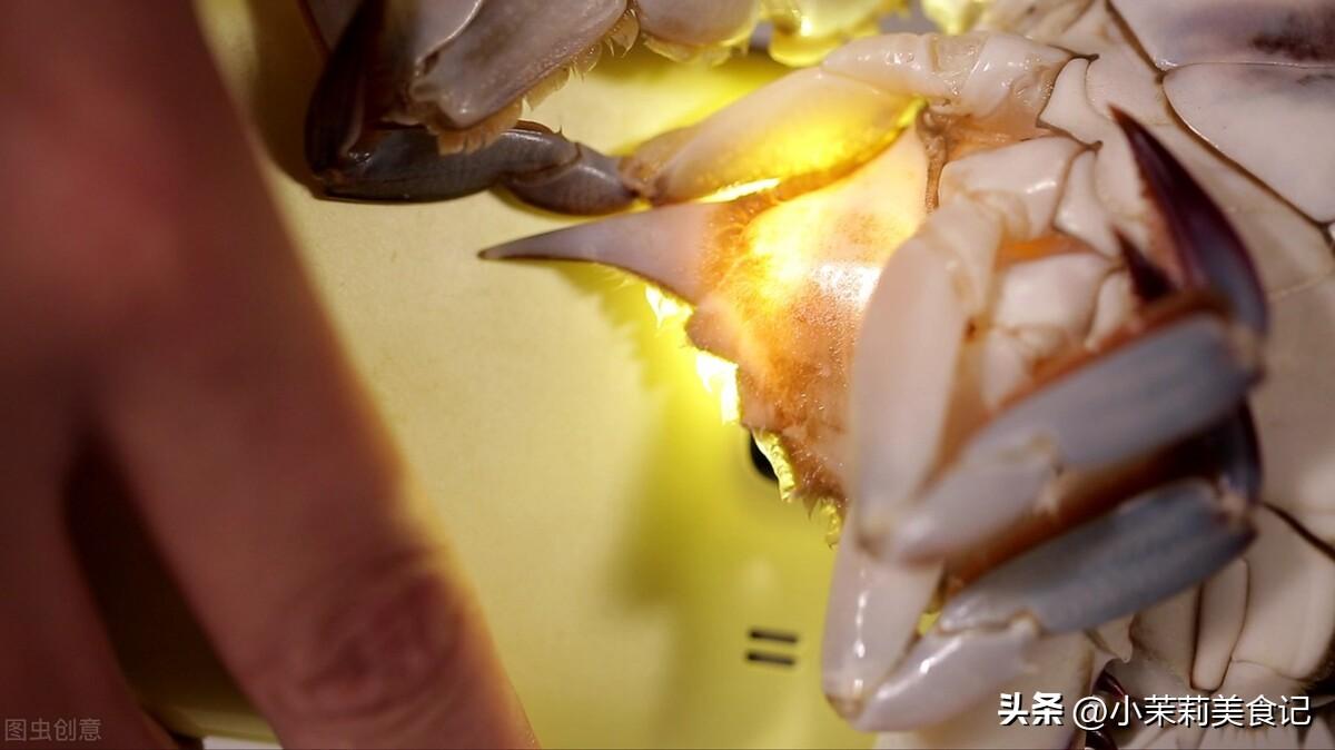 教你如何挑选肥美的梭子蟹，教你如何挑选肥美的梭子蟹图片（别只会看大小和捏蟹脚）