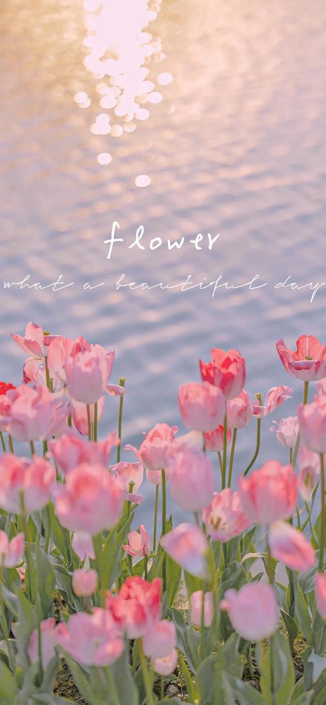 小可爱粉色头像大合集微信，小可爱粉色头像大合集（温柔可爱粉色系壁纸）