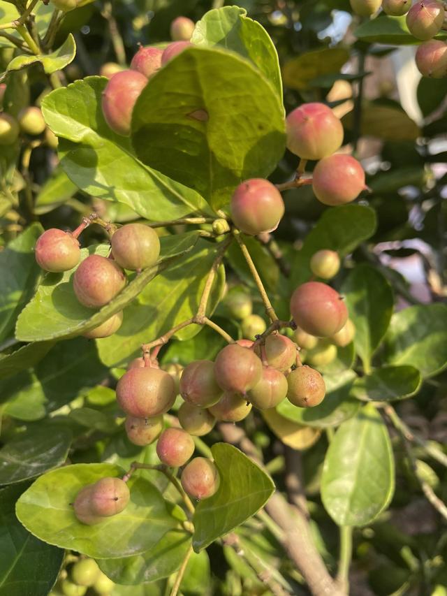 灵魂相似的人一旦相逢，灵魂相似的人一旦相逢是知心朋友（总有一天会在路上相逢）