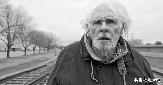 著名导演排行榜，十大导演排名表（21世纪获得奥斯卡提名最多的10位导演）