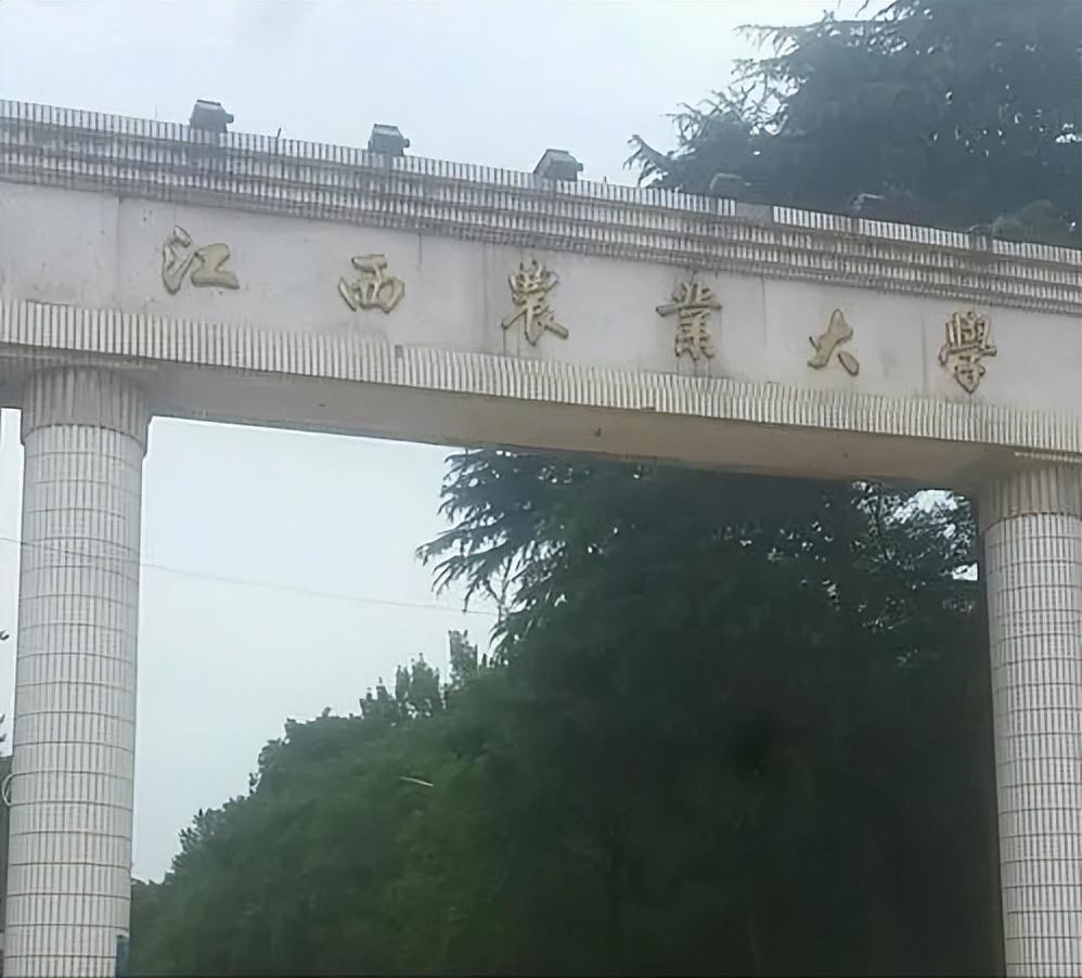江西农业大学（江西农业大学招生遭遇）