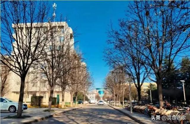 西北农林科技大学是211大学吗，西北农林科技大学和211（是不是985高校中凑数的）